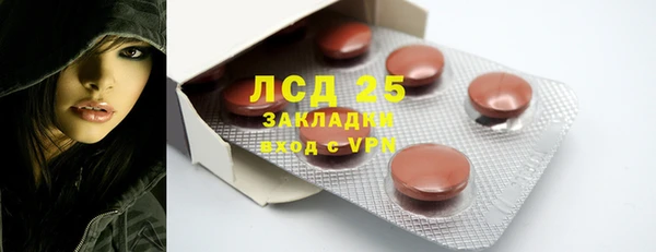 ГАЛЛЮЦИНОГЕННЫЕ ГРИБЫ Богданович