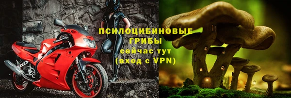наркотики Белокуриха