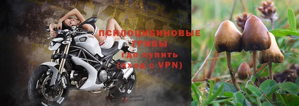наркотики Белокуриха